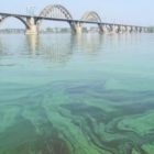 Вчені звернулися до природоохоронних структур ЄС щодо стану р. Дніпро