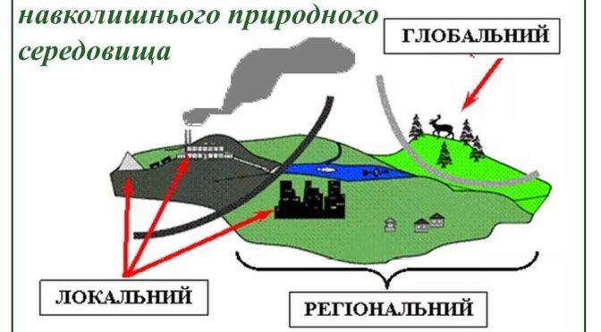 Про рівні екологічного моніторингу