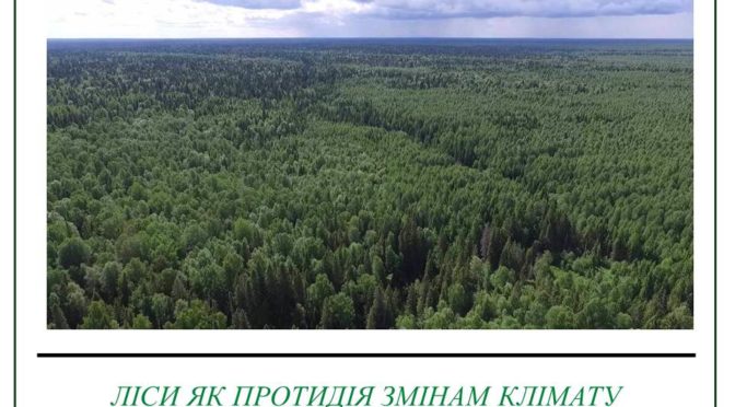 ЛІСИ ЯК ПРОТИДІЯ ЗМІНАМ КЛІМАТУ